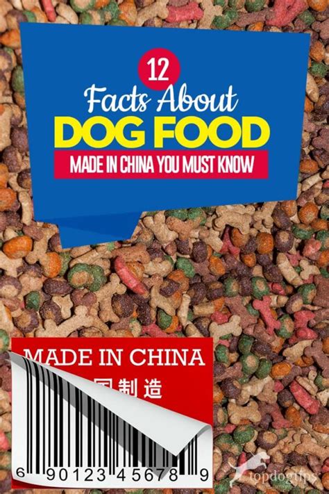 are pet treats made in china dangerous
